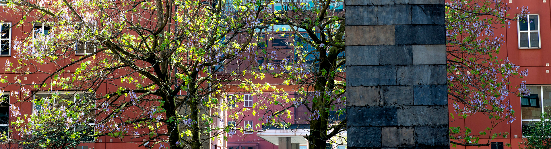 Bicocca_a_primavera
