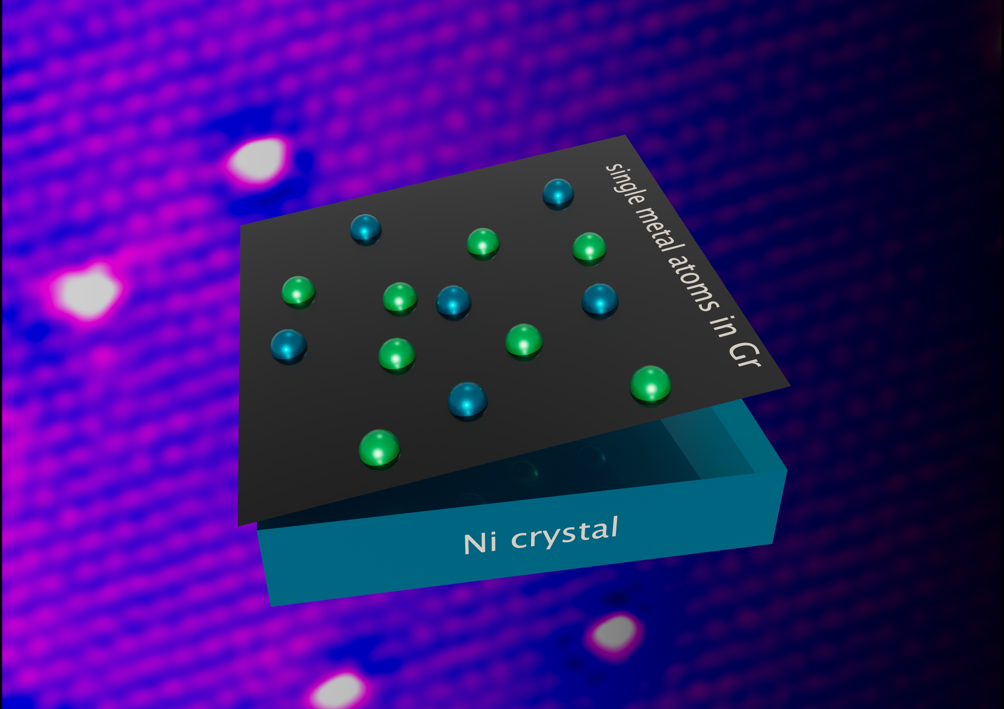 Uno strato di grafene che incorpora singoli atomi di metallo viene staccato dalla superficie di nichel su cui è prodotto per poterlo utilizzare in veri dispositivi (credits: Valeria Chesnyak, Irene Modolo)
