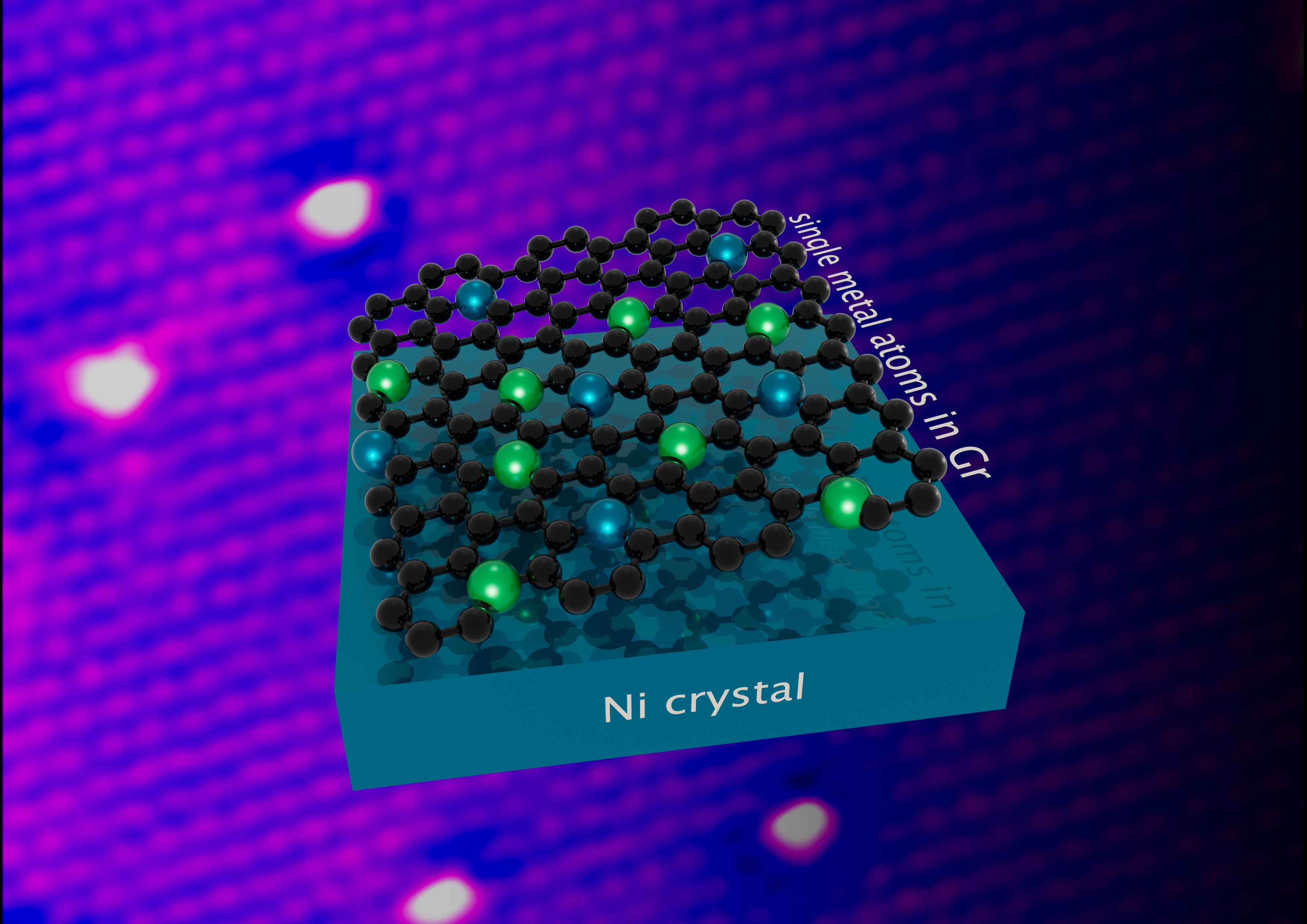 Uno strato di grafene che incorpora singoli atomi di metallo viene staccato dalla superficie di nichel su cui è prodotto per poterlo utilizzare in veri dispositivi (credits: Valeria Chesnyak, Irene Modolo)