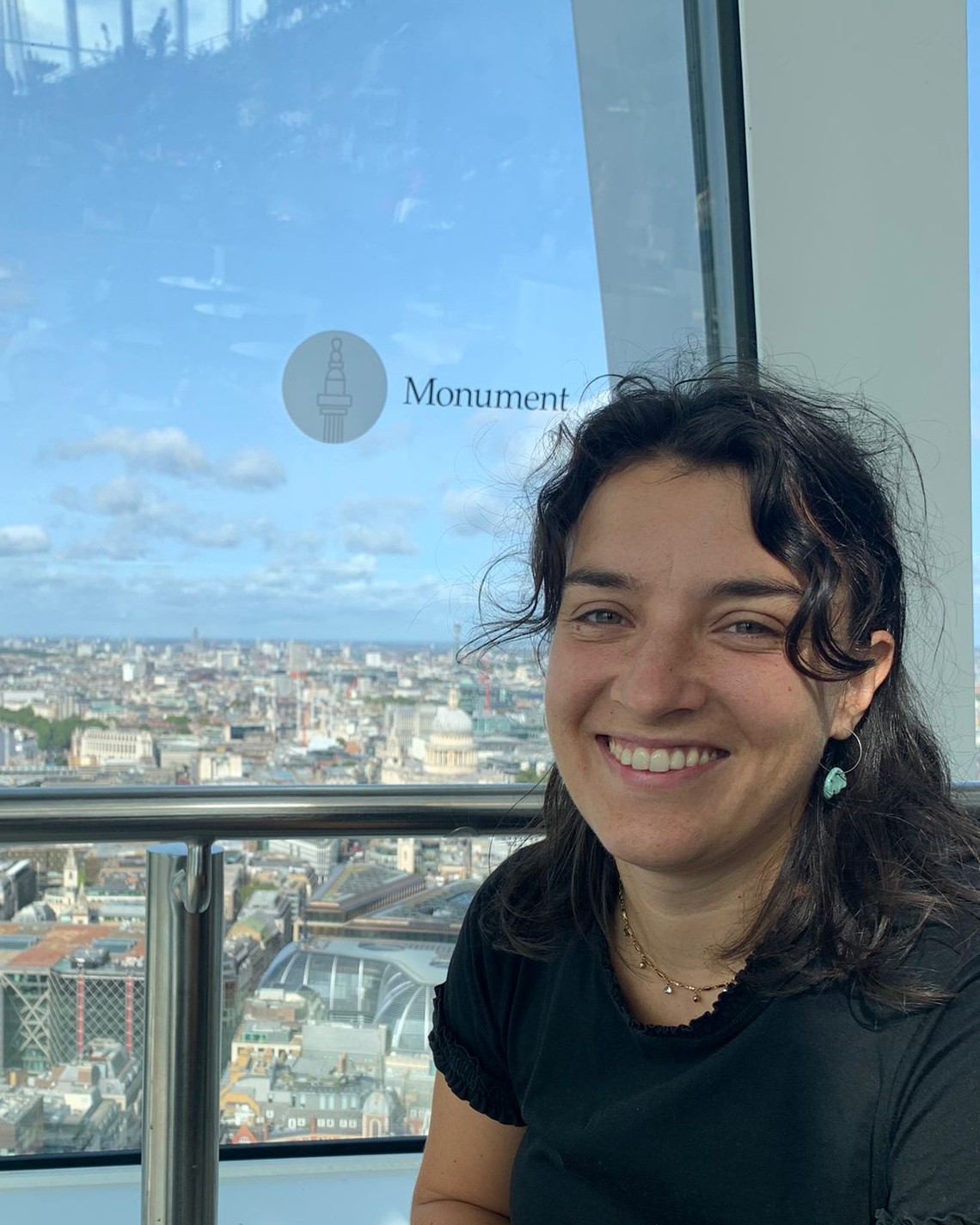 Immagine caterina rapini, foto con vista di una città e cielo sullo sfondo. 