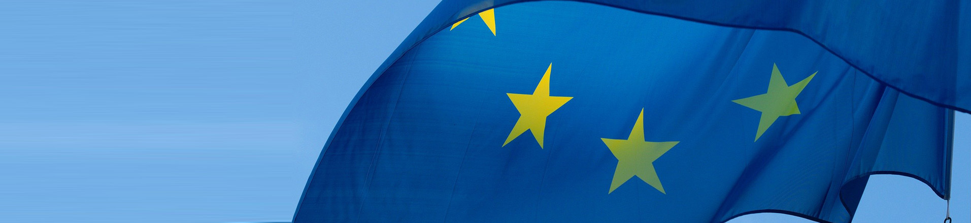 BANDIERA europea