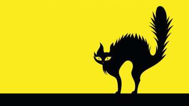 Gatto nero su sfondo giallo 1200