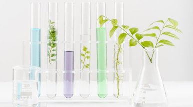 Ampolle di vetro con piante