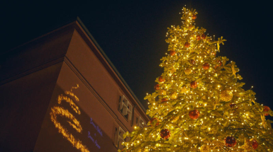 albero di Natale e proiezione scritta auguri di Buone feste su edificio Università Bicocca