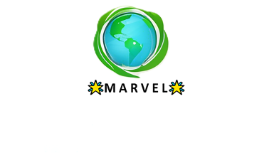 Logo di Marvel (Make a revolution, invest in sustainability)