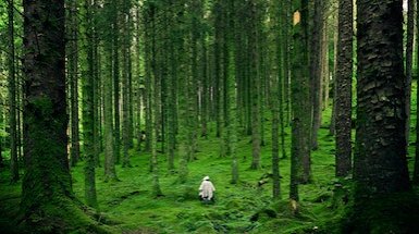 Persona che cammina nella foresta