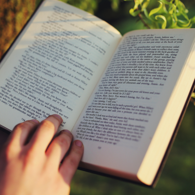 mani che reggono un libro vicino ad un albero