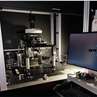 Microscopio a due fotoni Ultima 2P+ Bruker con annessa sorgente laser Chamaleon Discovery Coherent