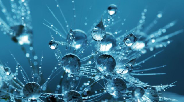 Giornata di divulgazione e discussione dedicata ai Premi Nobel 2025