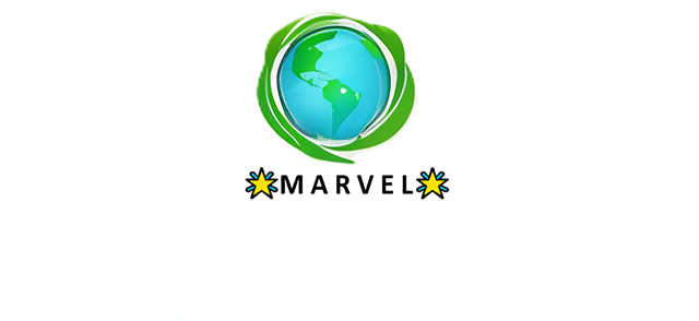 Logo di Marvel (Make a revolution, invest in sustainability)