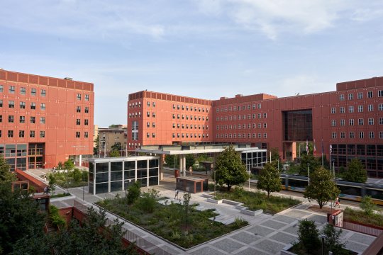 piazza della scienza