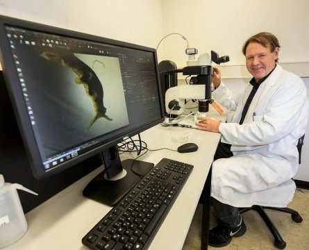 Foto di uomo seduto davanti ad un microscopio
