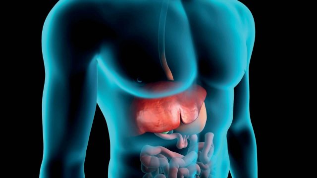 Sino-Italian Liver Conference 2018 - Biliary Diseases in the East and the West