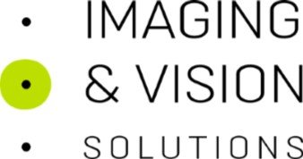 Logo Imagin and Vision Solution