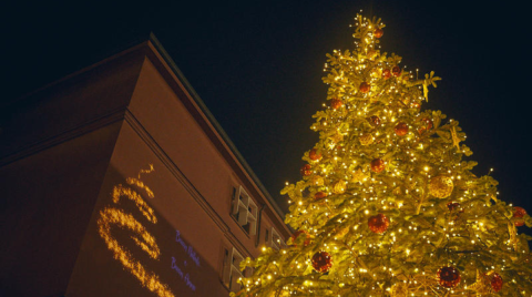 albero di Natale e proiezione scritta auguri di Buone feste su edificio Università Bicocca