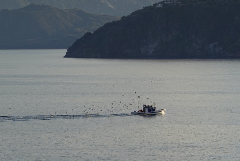 Iscrizioni WInter School Ponza