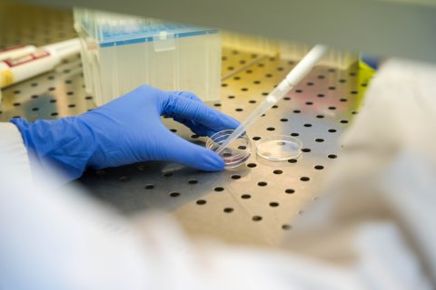 Analisi in laboratorio