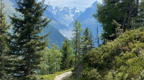 sentiero di montagna in estate
