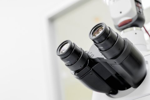 Microscopio
