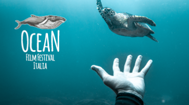 Ocean Film Festival 2020
