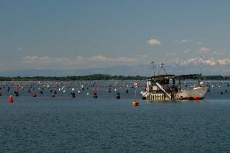 impianto di acquacoltura