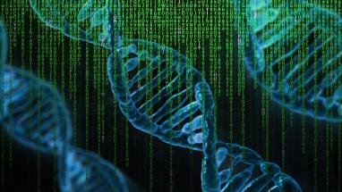 big data e DNA
