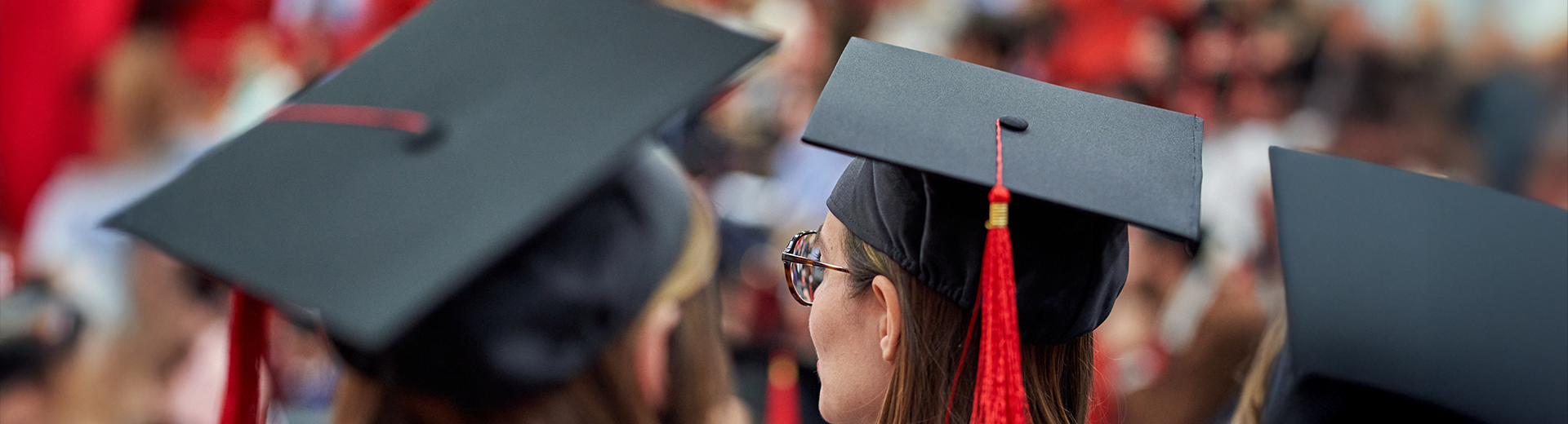 Consegna del diploma di dottore di ricerca